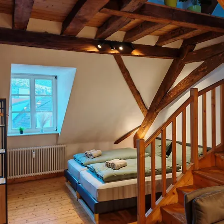 Charmante Altbau Maisonette Im Zentrum Appartement Neustadt an der Weinstraße
