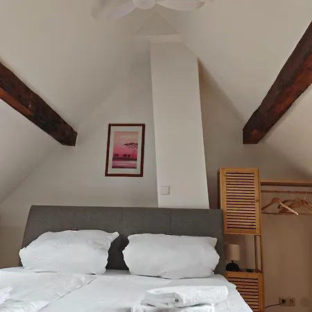 Appartement Charmante Altbau Maisonette Im Zentrum Neustadt an der Weinstraße